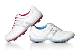 4523-ecco